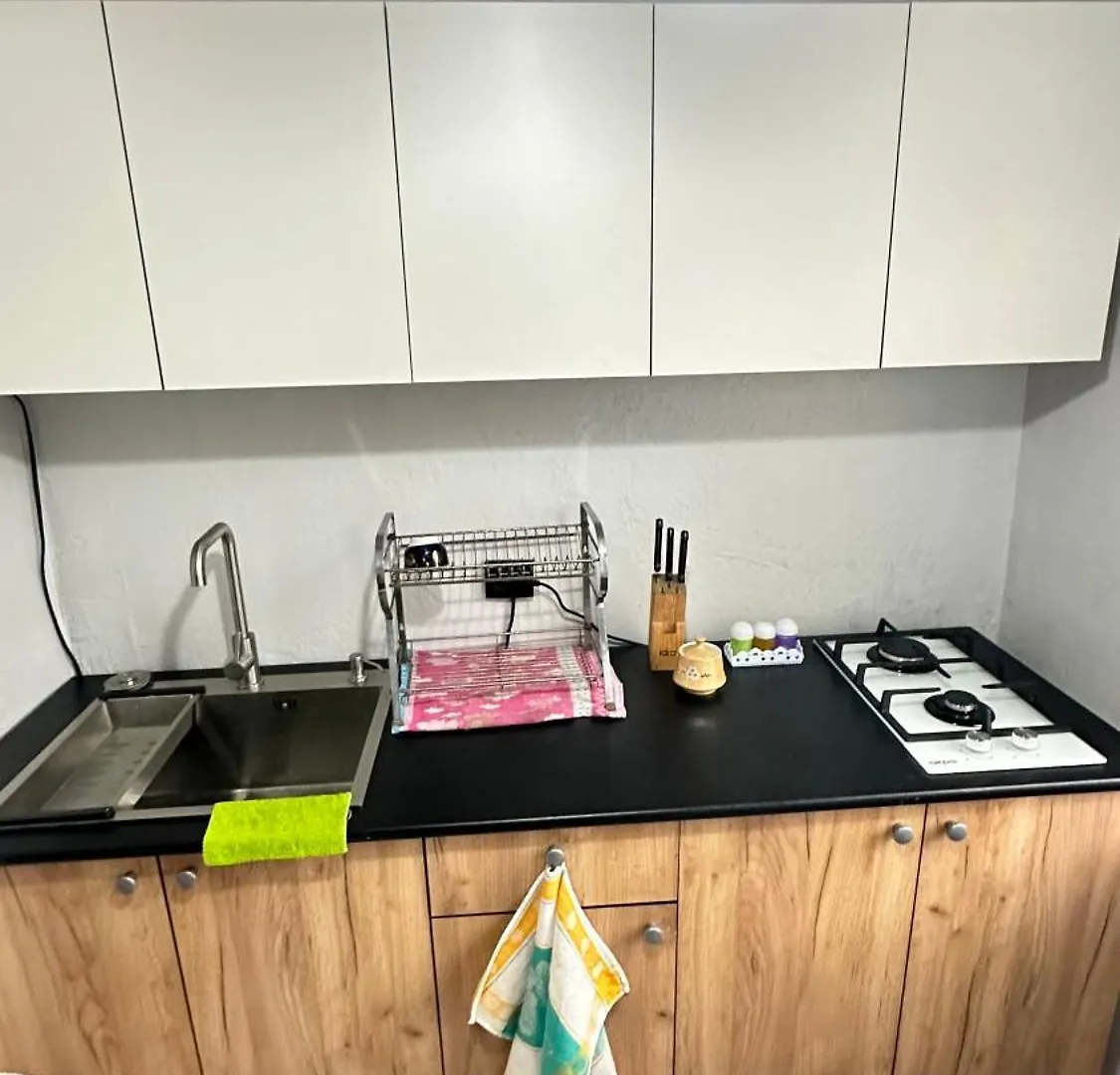 Apartment Квартира В Центре Алматы
